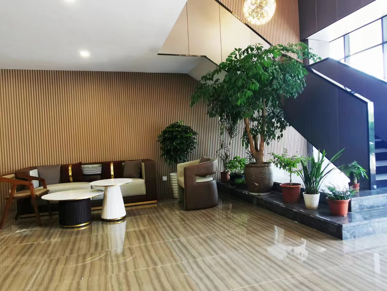 ��C�����理